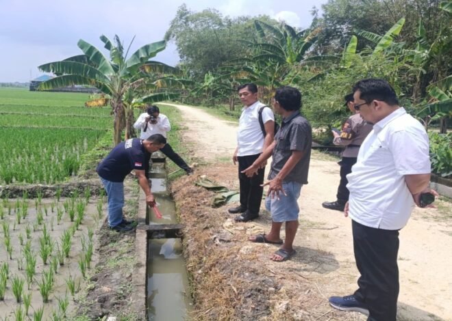 Petani Ditemukan Meninggal di Saluran Irigasi Pinggir Sawah di Ngembak Grobogan