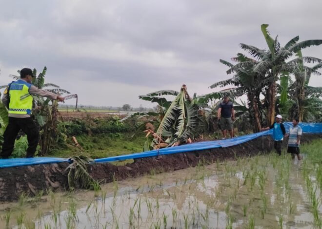 Hendak Pulang dari Sawah, Seorang Petani di Penawangan Tewas Tersambar Petir