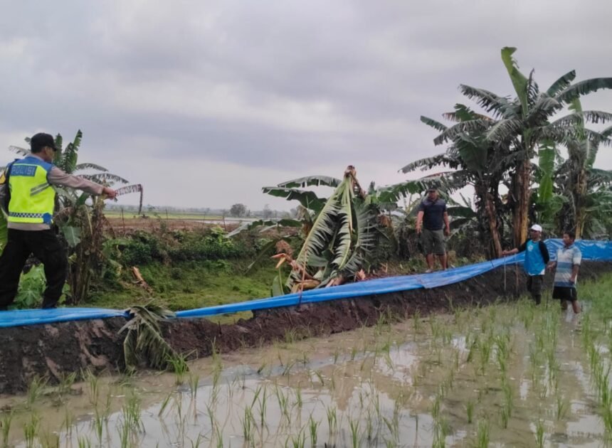 Hendak Pulang dari Sawah, Seorang Petani di Penawangan Tewas Tersambar Petir
