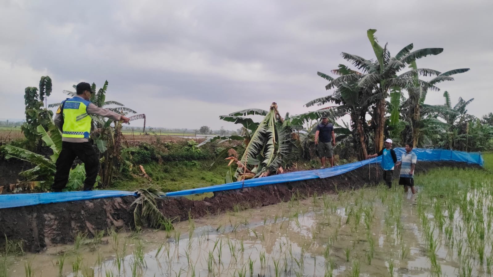 Hendak Pulang dari Sawah, Seorang Petani di Penawangan Tewas Tersambar Petir