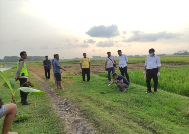 Pulang dari Sawah Saat Hujan Deras, Petani di Pulokulon Tewas Tersambar Petir