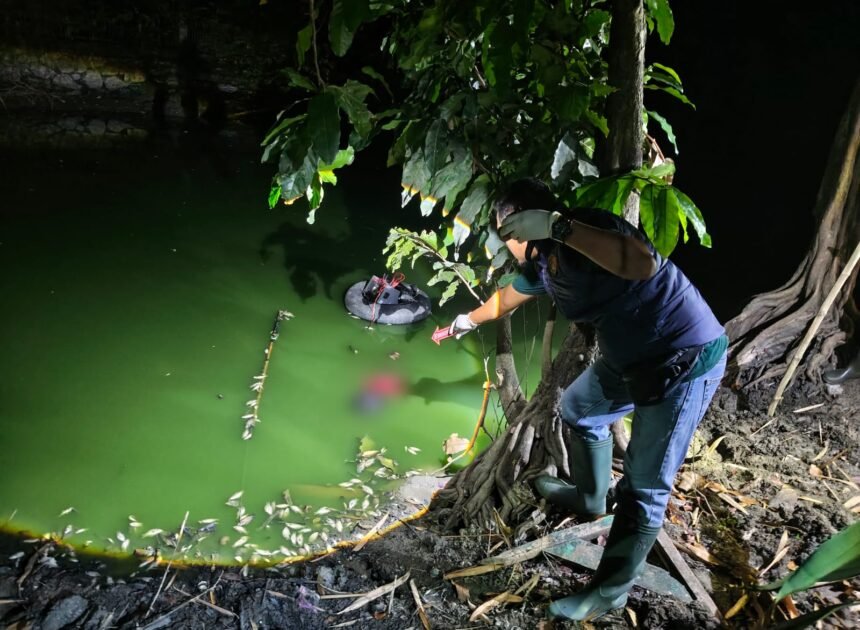 Cari Ikan Pakai Alat Setrum, Pria di Grobogan Tewas Mengapung di Empang