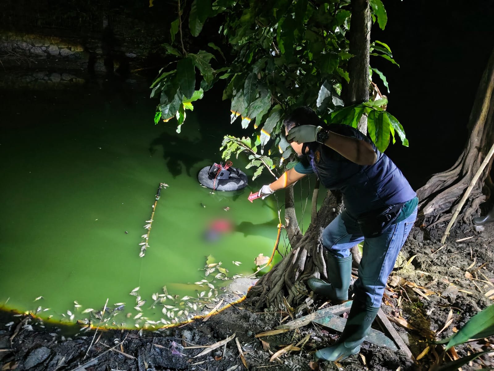 Cari Ikan Pakai Alat Setrum, Pria di Grobogan Tewas Mengapung di Empang