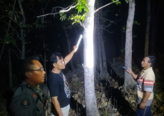 Cari Pakan Ternak, Pria 61 Tahun di Geyer Tewas Tersengat Listrik saat Panjat Pohon Mahoni