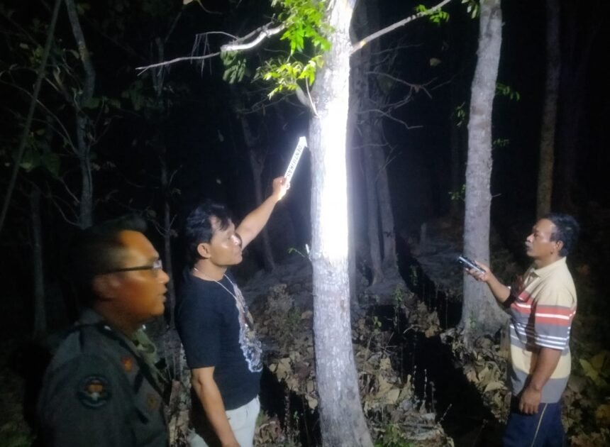 Cari Pakan Ternak, Pria 61 Tahun di Geyer Tewas Tersengat Listrik saat Panjat Pohon Mahoni