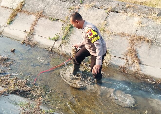 Motor dan Dua Sajam Ditemukan di Irigasi Cingkrong, Diduga Berkaitan dengan Tawuran