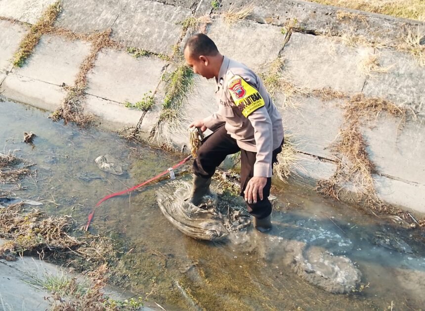 Motor dan Dua Sajam Ditemukan di Irigasi Cingkrong, Diduga Berkaitan dengan Tawuran